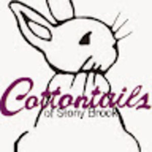 Meet your Posher, Cottontails